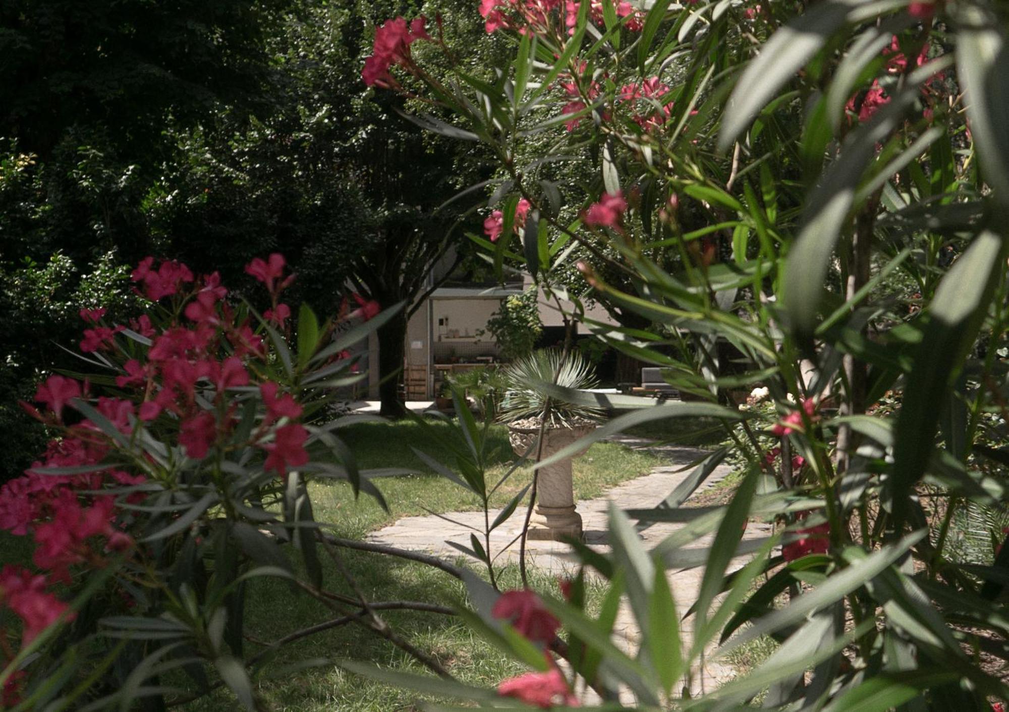 Residence Midi Mazamet ภายนอก รูปภาพ