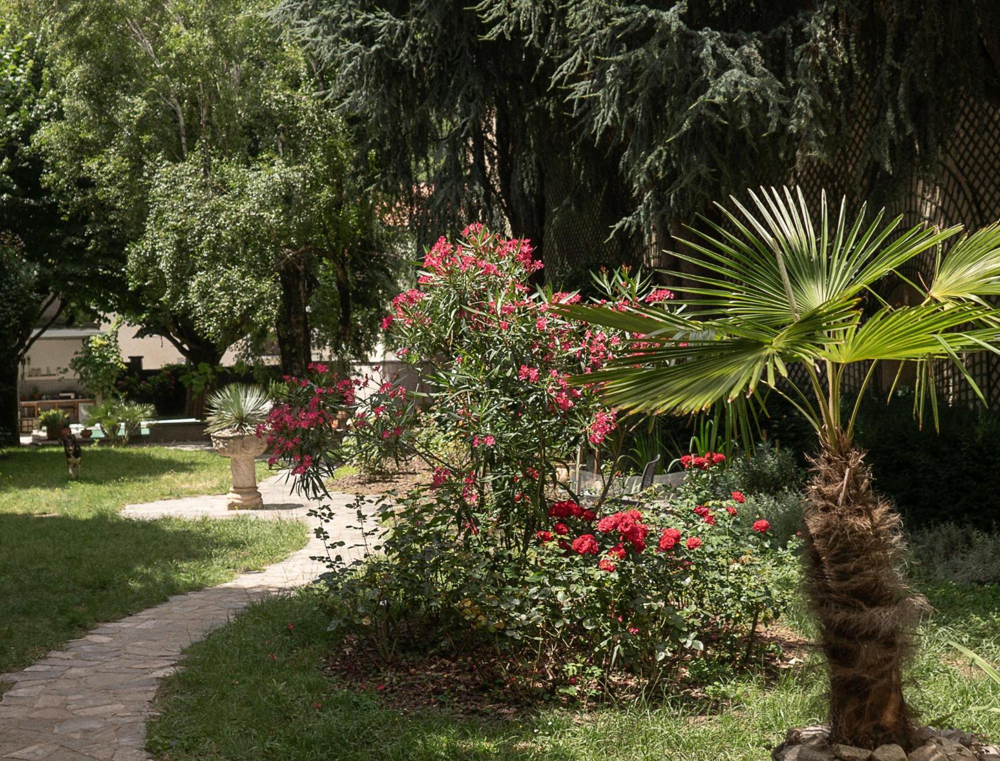 Residence Midi Mazamet ภายนอก รูปภาพ